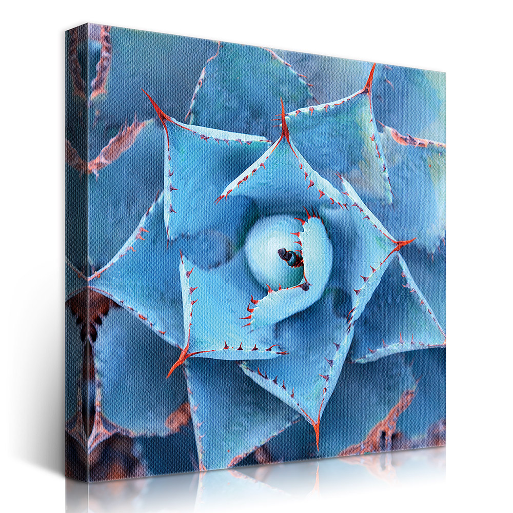 2-iSB-61112-1Panel Frameless Canvas Prints