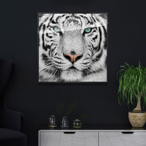 Wildlife Animal Tiger Posters Canvas Prints Wall Art Painting for Home Hotel Office Decor