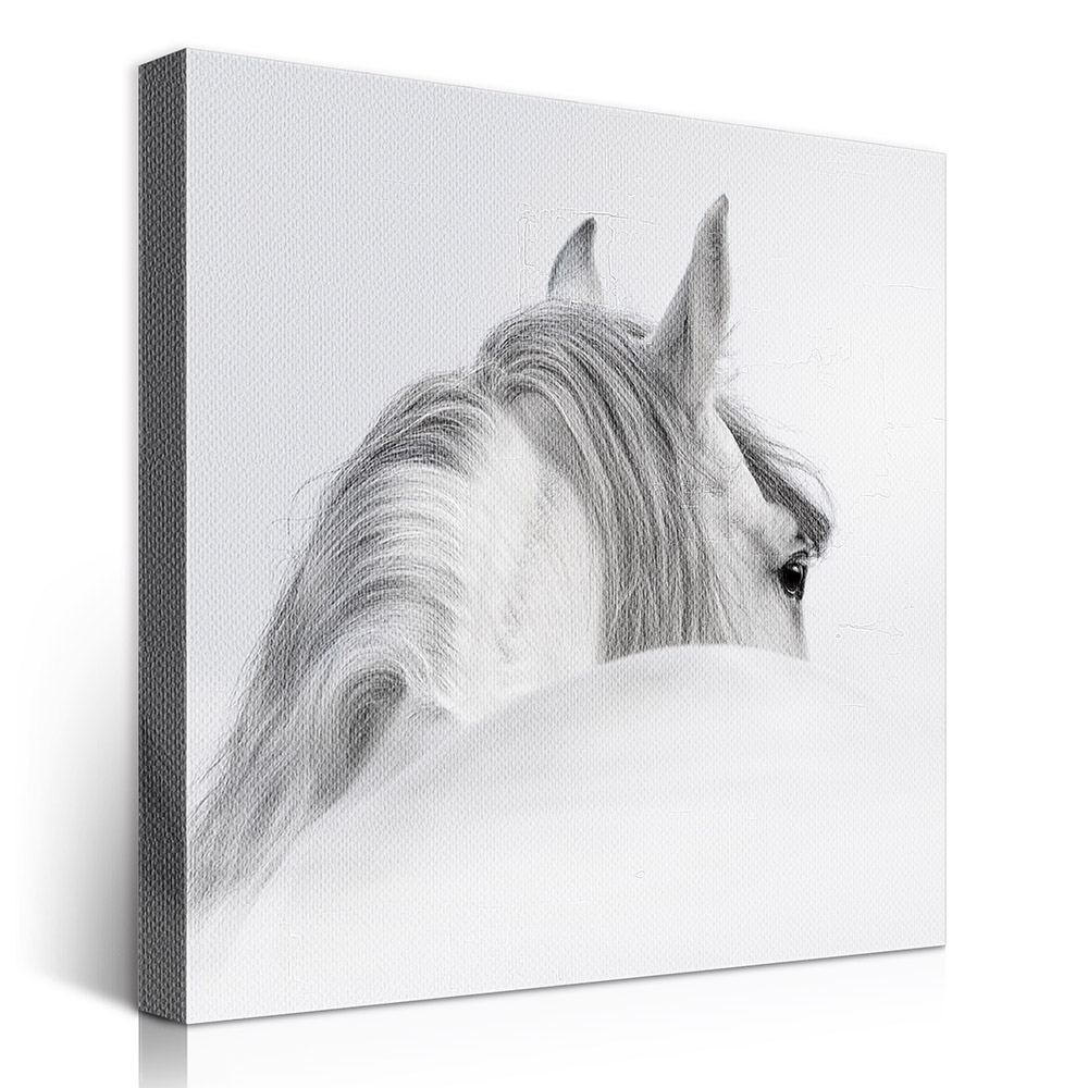2-iSB-61390B-1Panel Frameless Canvas Prints