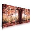2-iSH-7946ABC-3Panel Frameless Canvas Prints