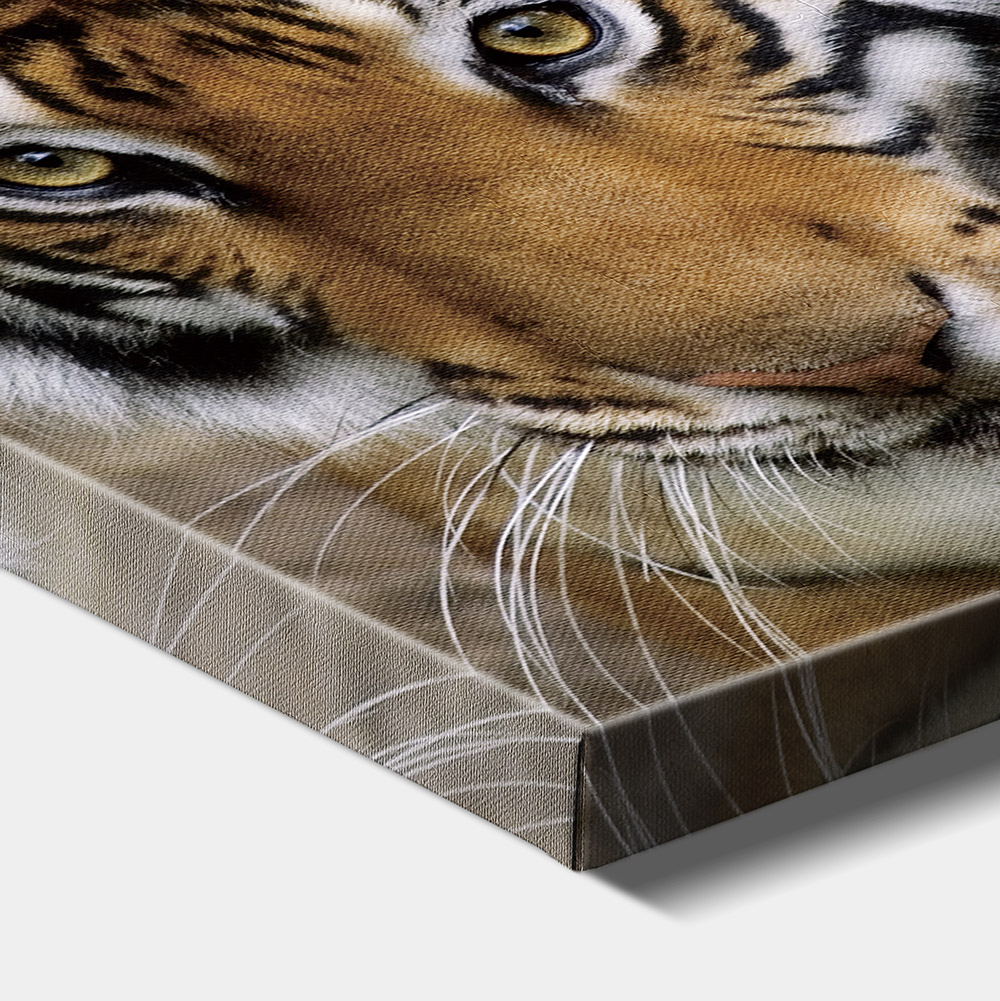 1-iSB-61098-1Panel Frameless Canvas Prints