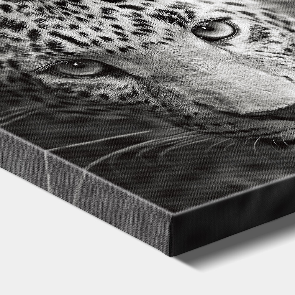 1-iSB-61100-1Panel Frameless Canvas Prints