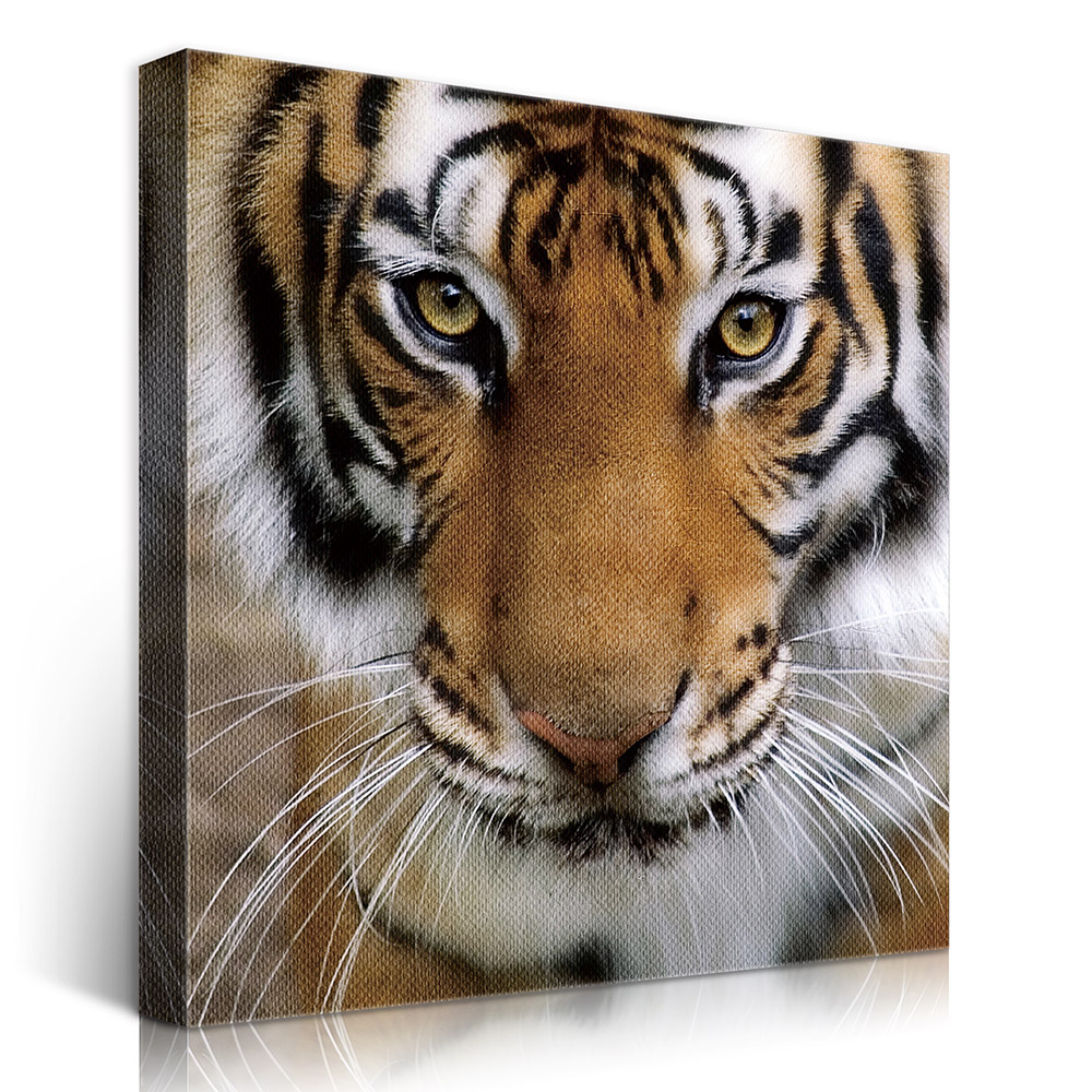 2-iSB-61098-1Panel Frameless Canvas Prints