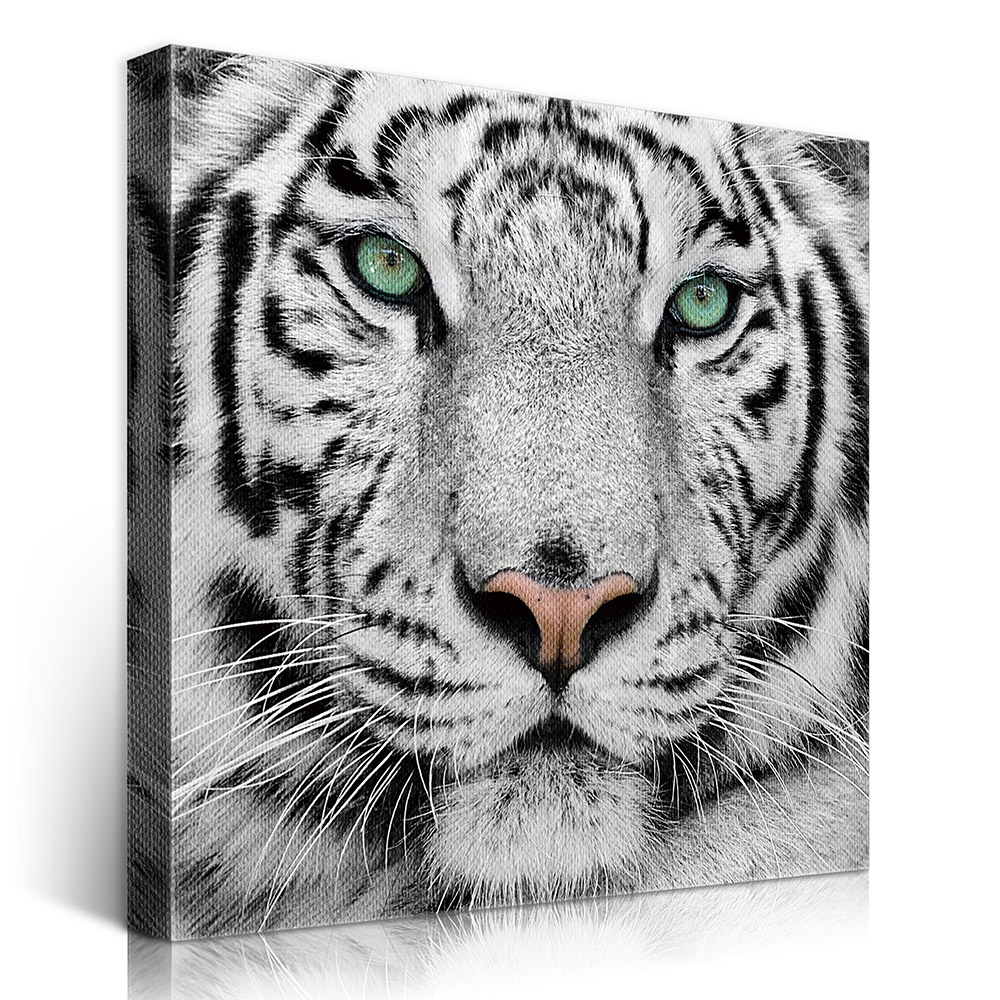 2-iSB-61099-1Panel Frameless Canvas Prints