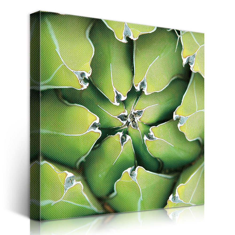2-iSB-61111-1Panel Frameless Canvas Prints