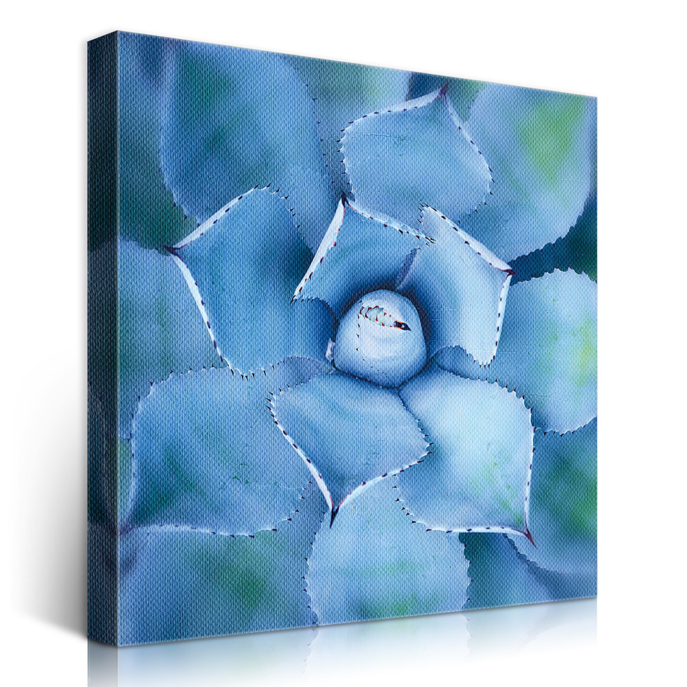 2-iSB-61113-1Panel Frameless Canvas Prints