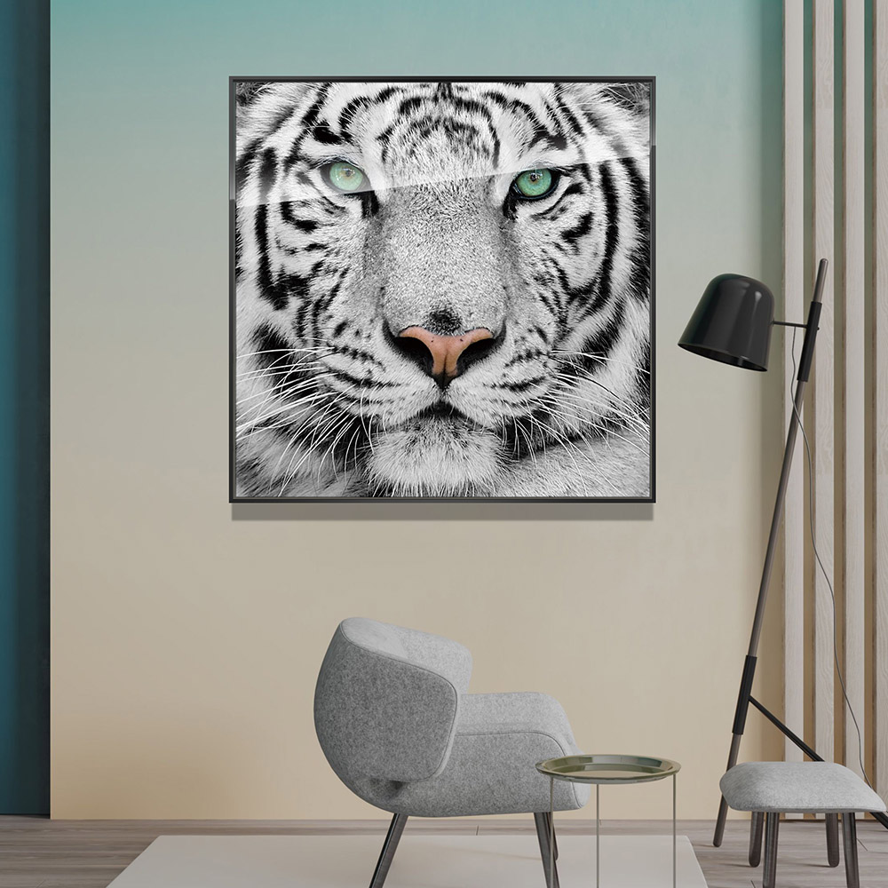 5-iSB-61099-1Panel Dazzling Black Frame Acrylic Prints Wall Art