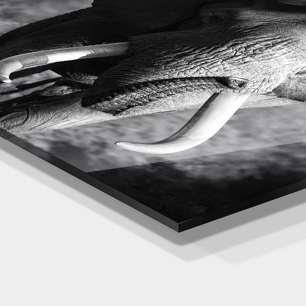 1-iSB-61167-1Panel Frameless Acrylic Prints