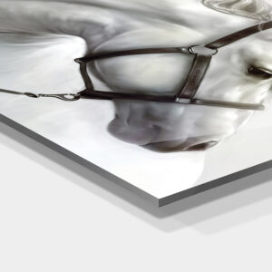 1-iSB-61184-1Panel Frameless Acrylic Prints