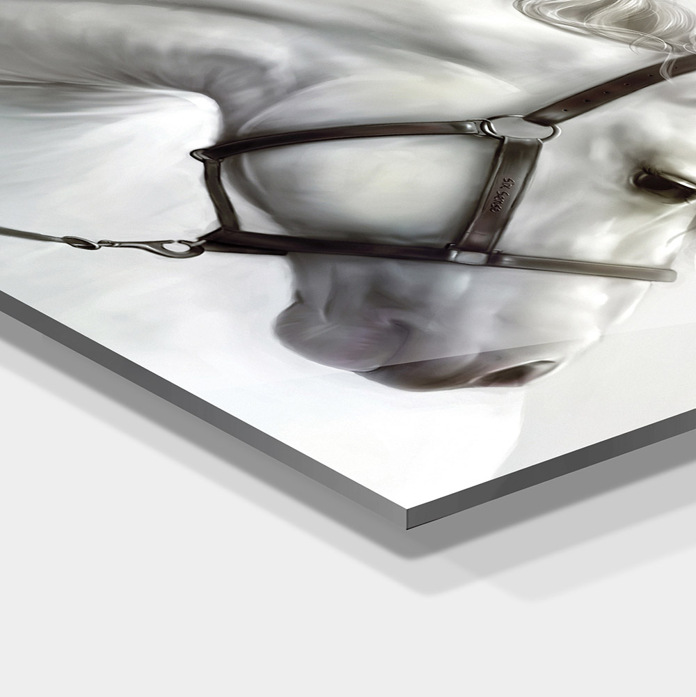 1-iSB-61184-1Panel Frameless Acrylic Prints
