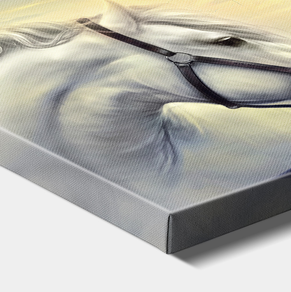 1-iSB-61185-1Panel Frameless Canvas Prints