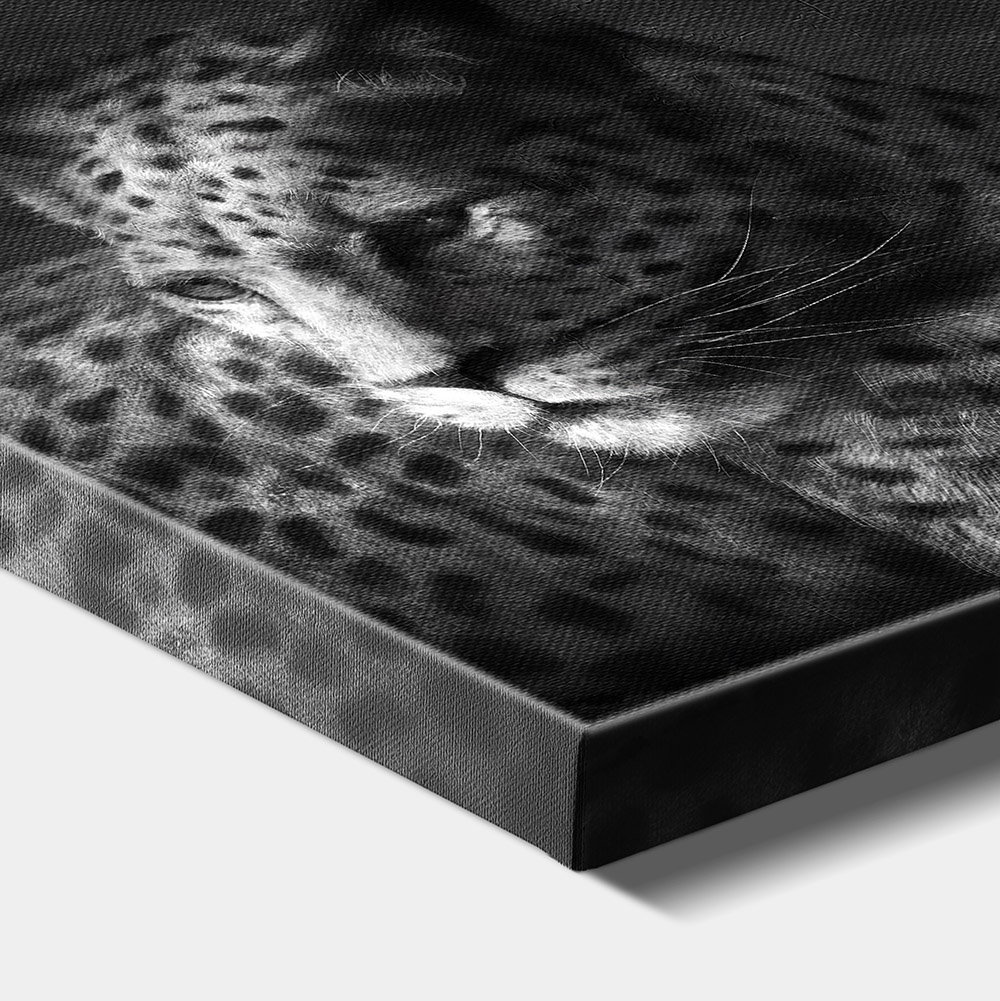 1-iSB-61253A-1Panel Frameless Canvas Prints