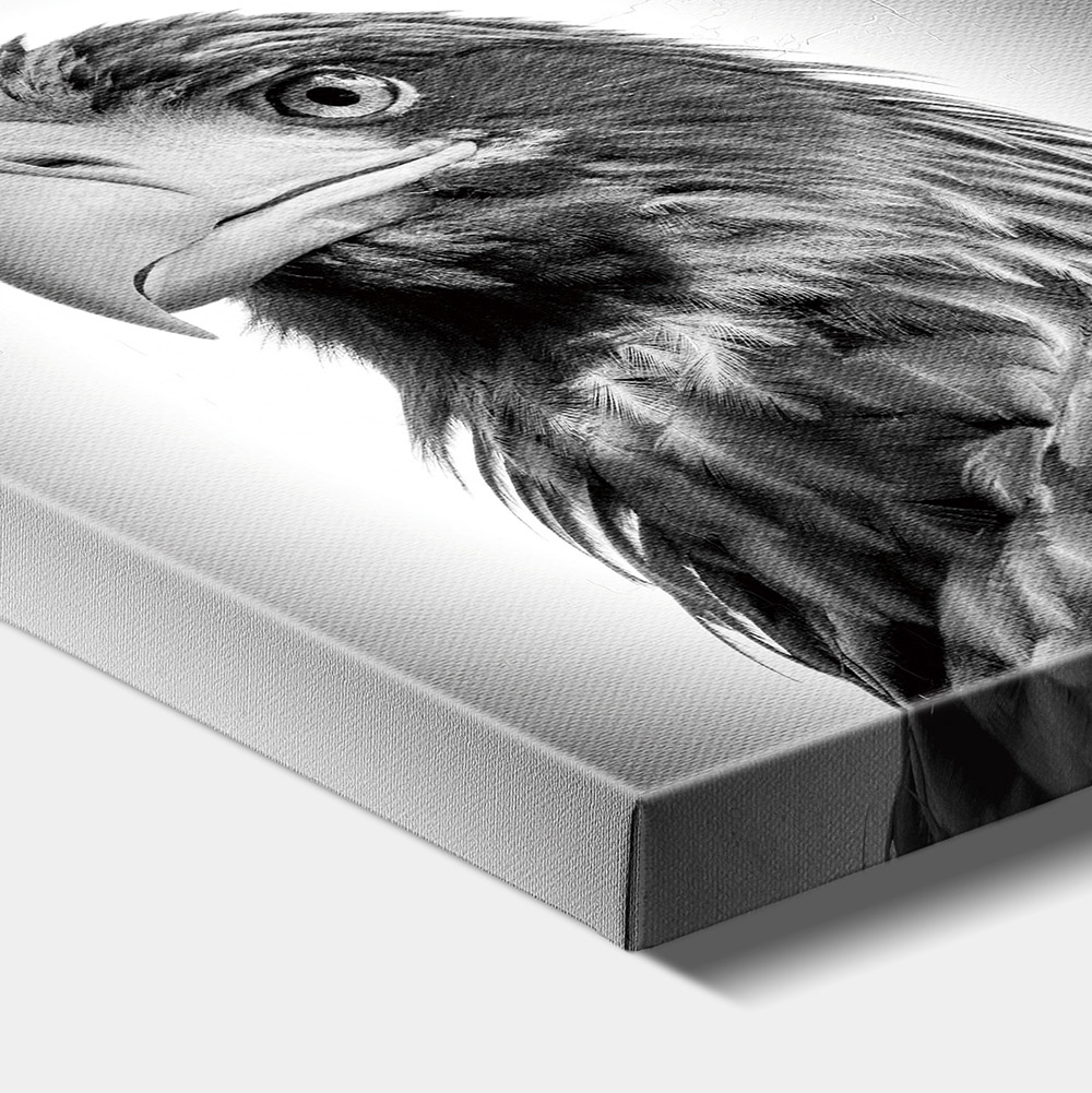 1-iSB-62043-1Panel Frameless Canvas Prints