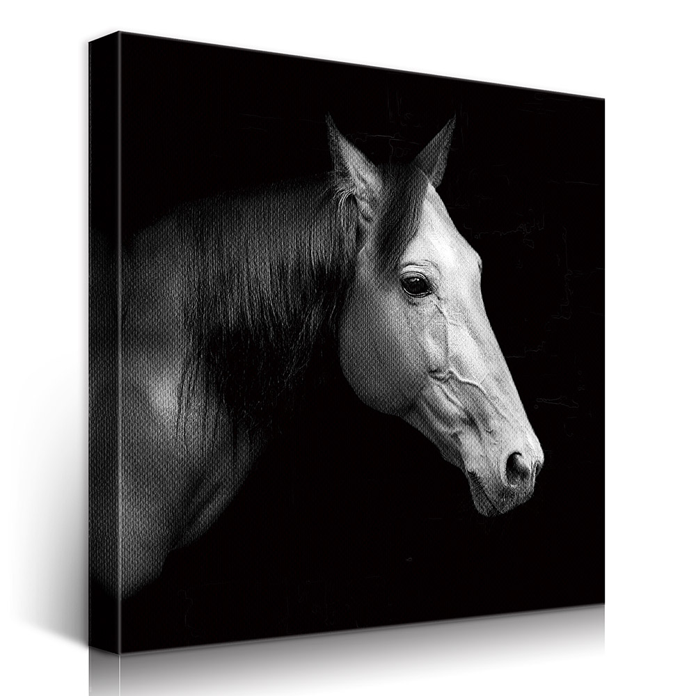 2-iSB-61121-1Panel Frameless Canvas Prints