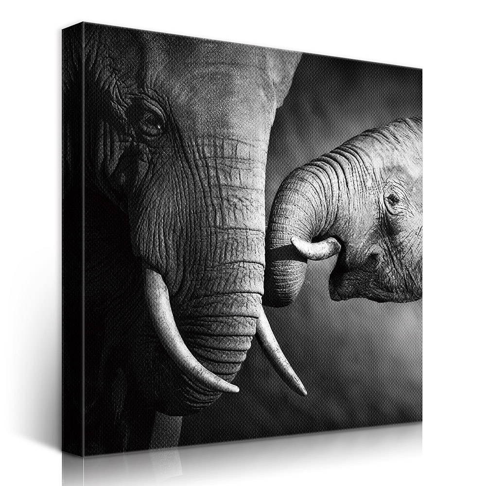 2-iSB-61166-1Panel Frameless Canvas Prints
