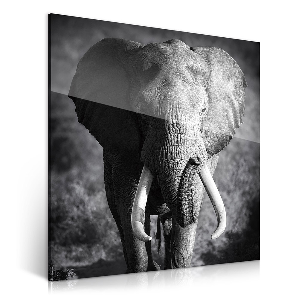 2-iSB-61167-1Panel Frameless Acrylic Prints