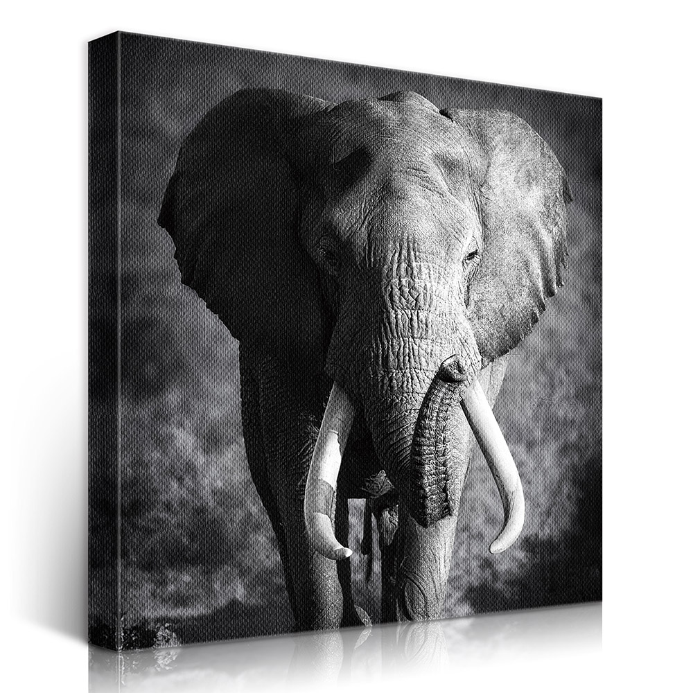 2-iSB-61167-1Panel Frameless Canvas Prints