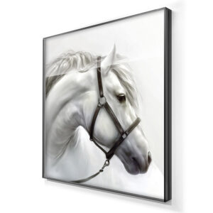 2-iSB-61184-1Panel Dazzling Black Frame Acrylic Prints Wall Art