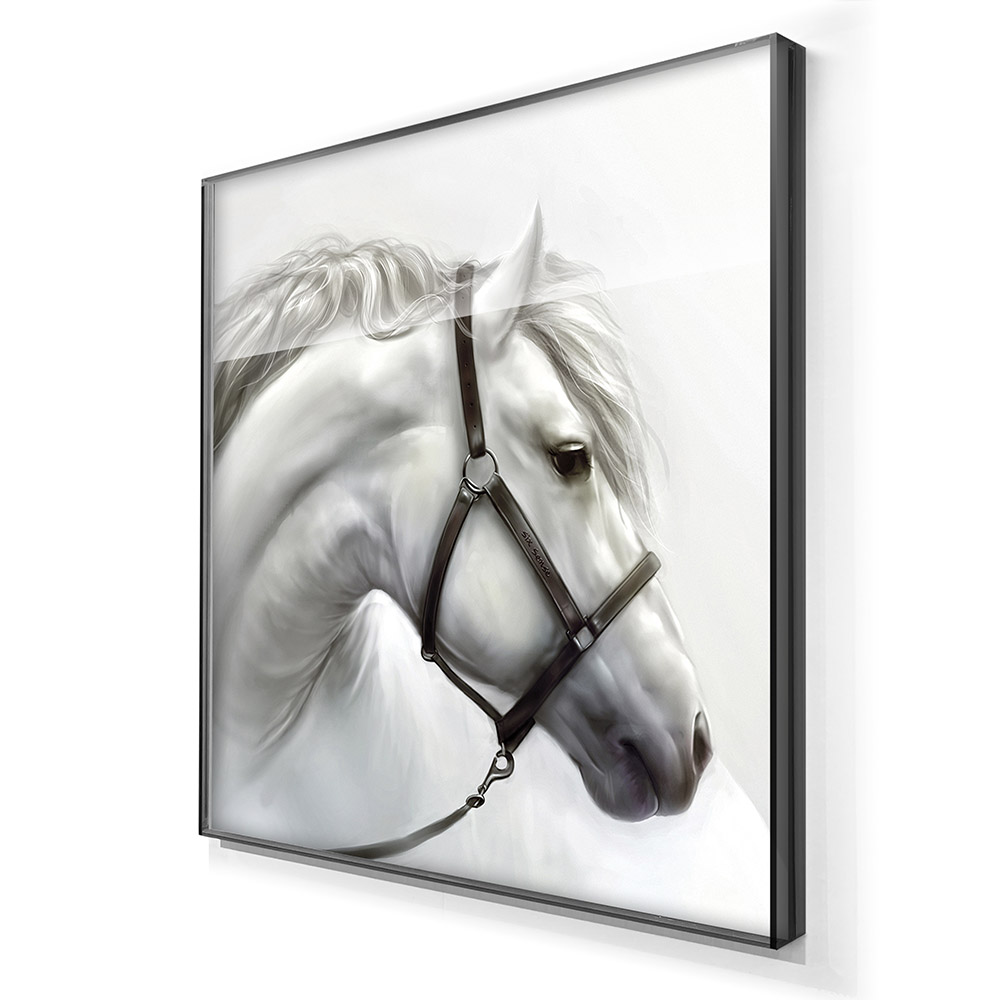2-iSB-61184-1Panel Dazzling Black Frame Acrylic Prints Wall Art