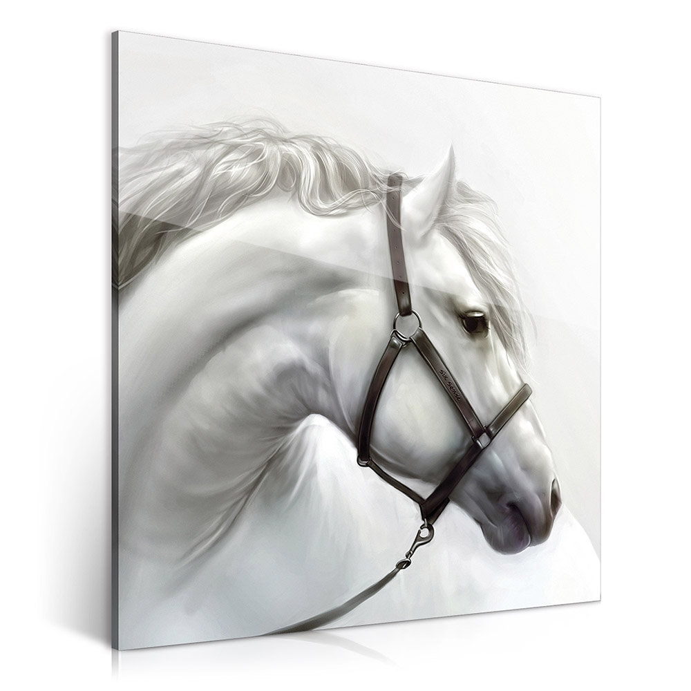 2-iSB-61184-1Panel Frameless Acrylic Prints