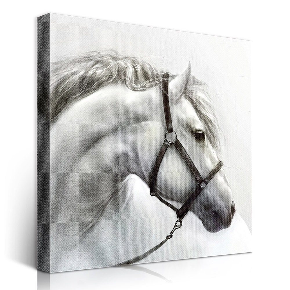 2-iSB-61184-1Panel Frameless Canvas Prints