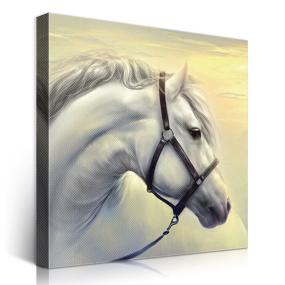 2-iSB-61185-1Panel Frameless Canvas Prints
