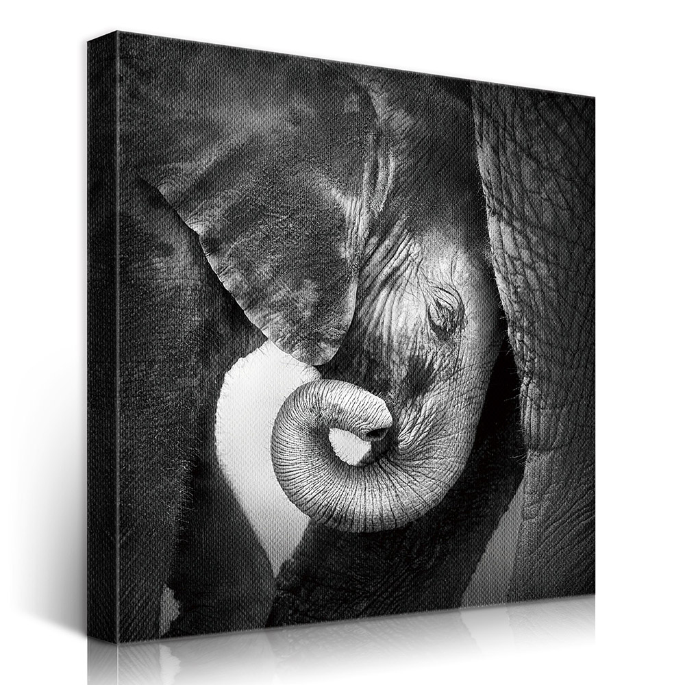2-iSB-62042-1Panel Frameless Canvas Prints