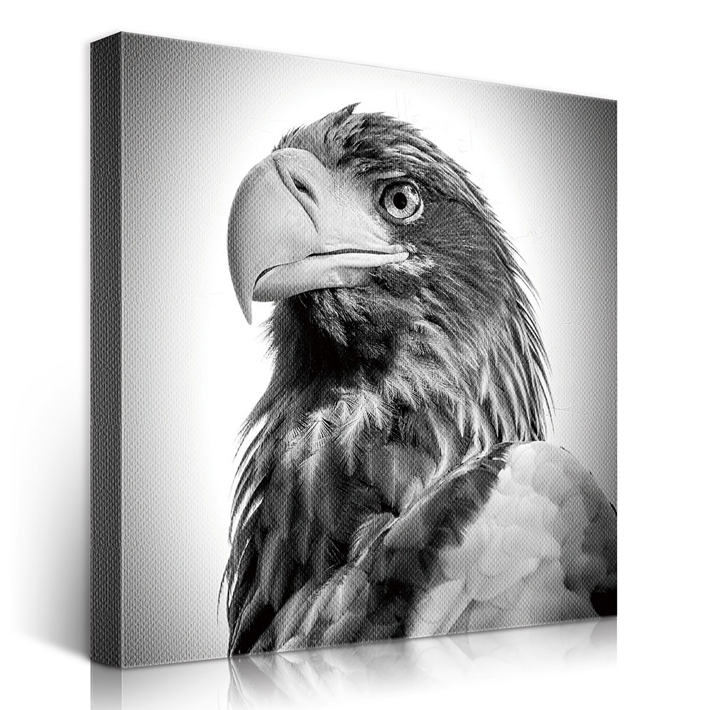 2-iSB-62043-1Panel Frameless Canvas Prints