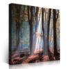 2-iSH-73062-1Panel Frameless Canvas Prints