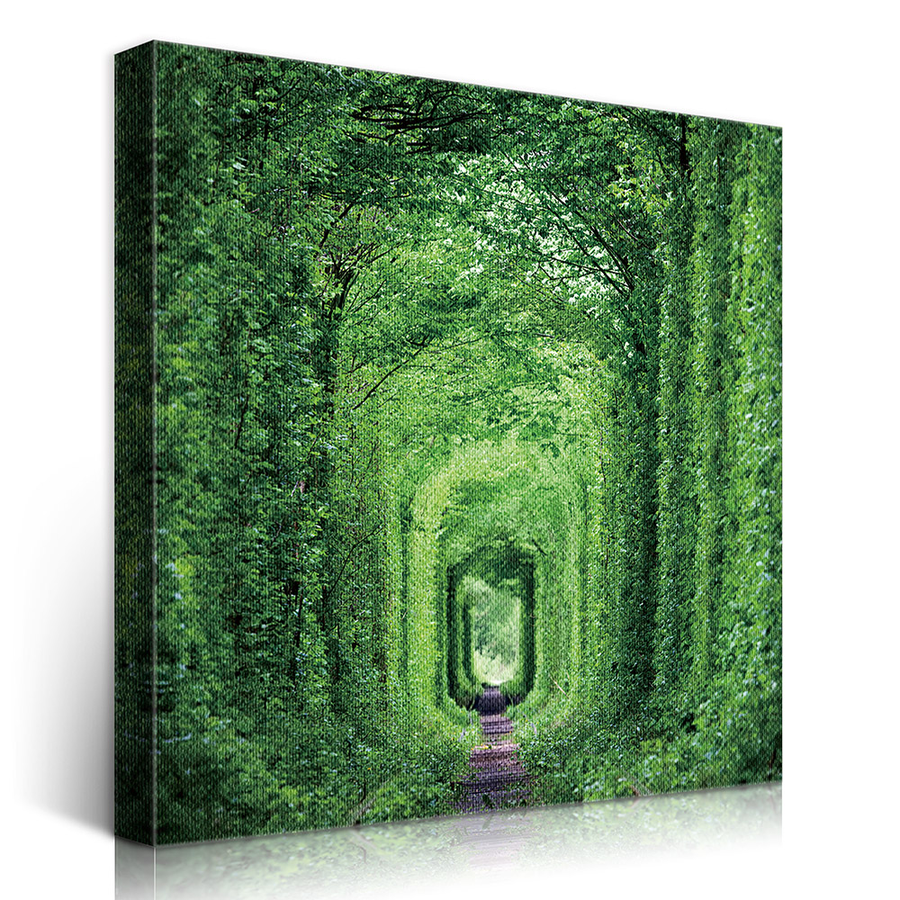 2-iSH-73165-1Panel Frameless Canvas Prints