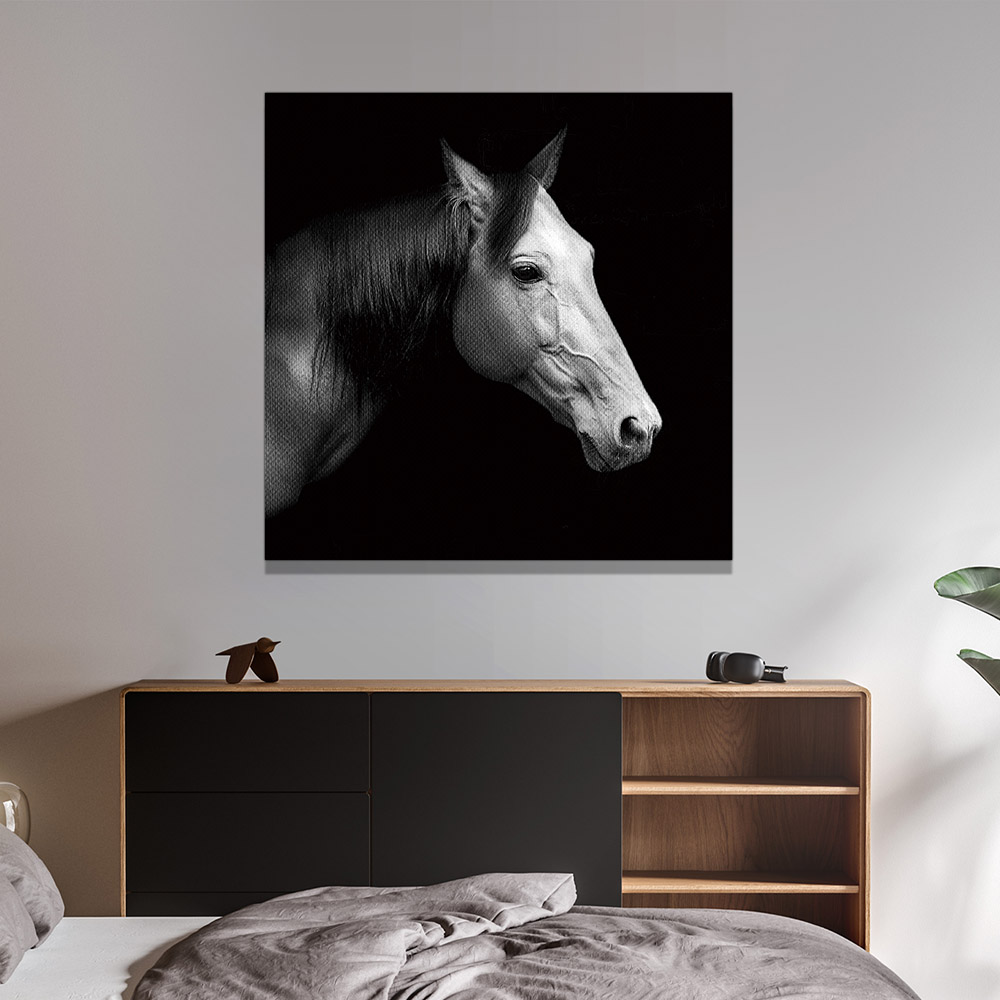 3-iSB-61121-1Panel Frameless Canvas Prints