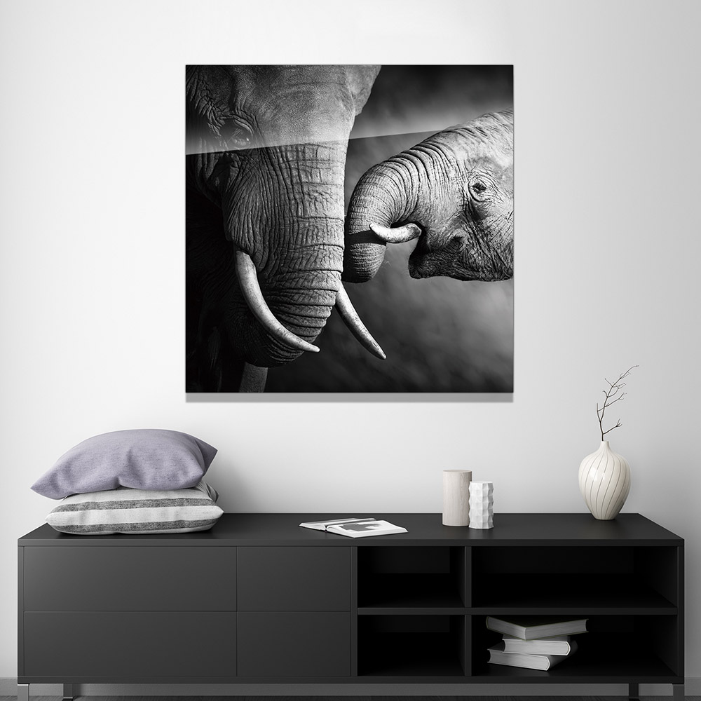 3-iSB-61166-1Panel Frameless Acrylic Prints