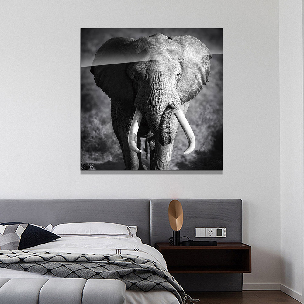3-iSB-61167-1Panel Frameless Acrylic Prints