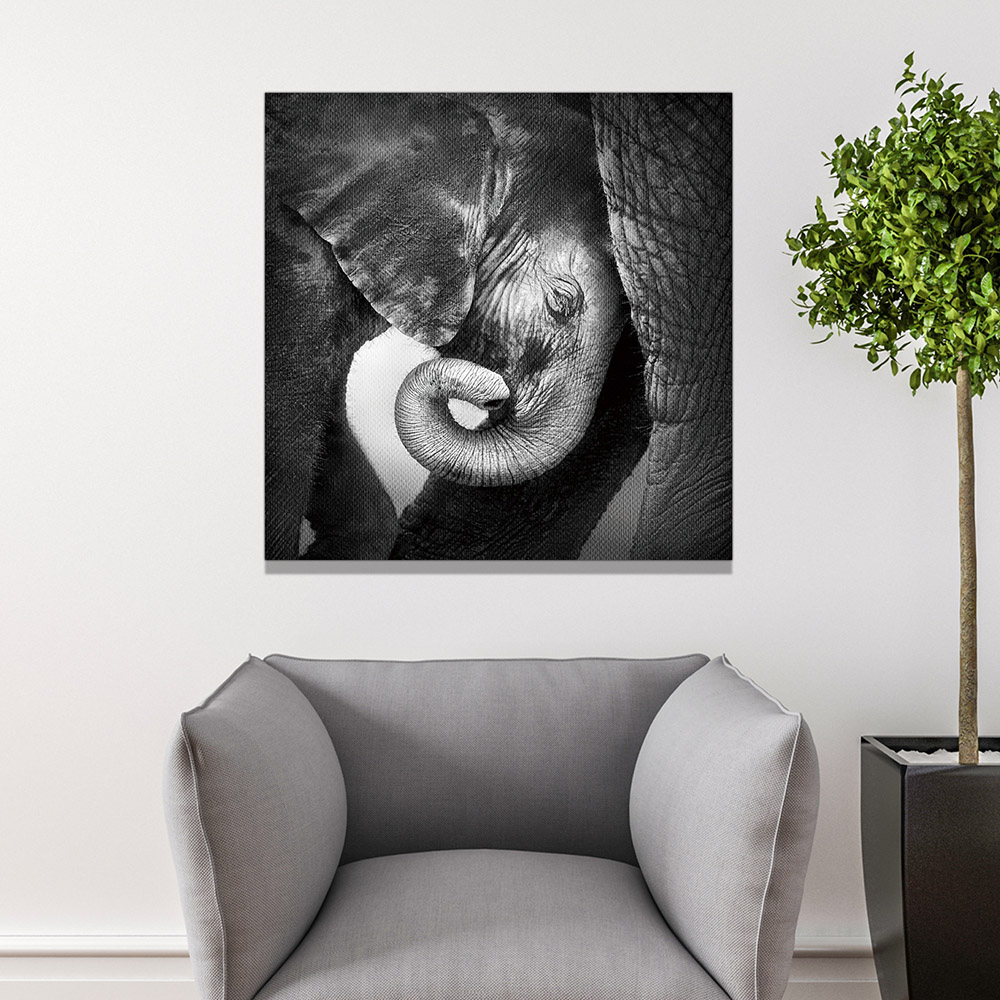3-iSB-62042-1Panel Frameless Canvas Prints