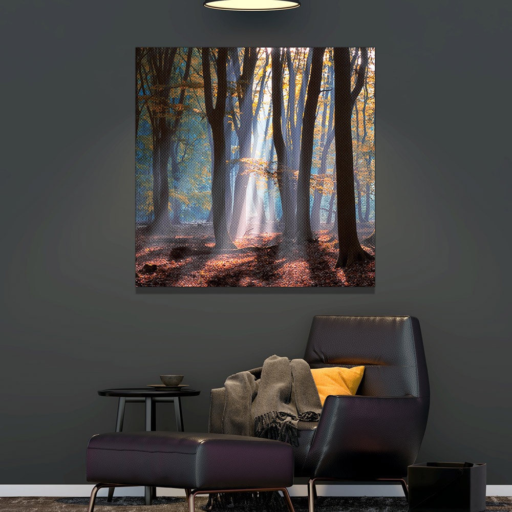 3-iSH-73062-1Panel Frameless Canvas Prints