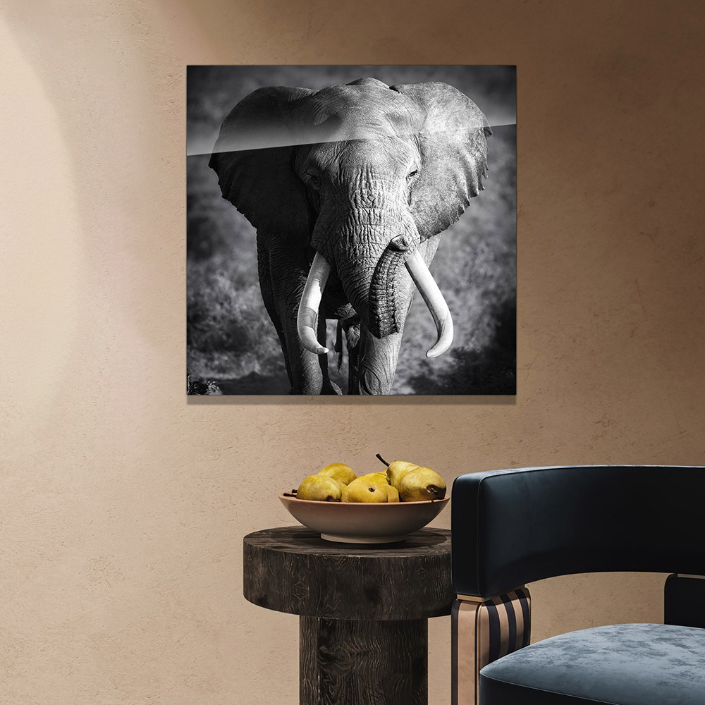 4-iSB-61167-1Panel Frameless Acrylic Prints