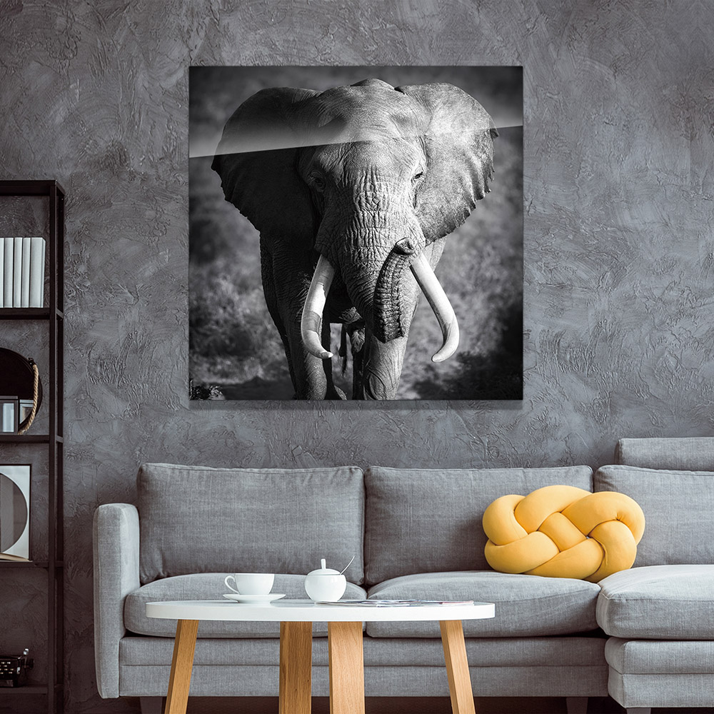 5-iSB-61167-1Panel Frameless Acrylic Prints