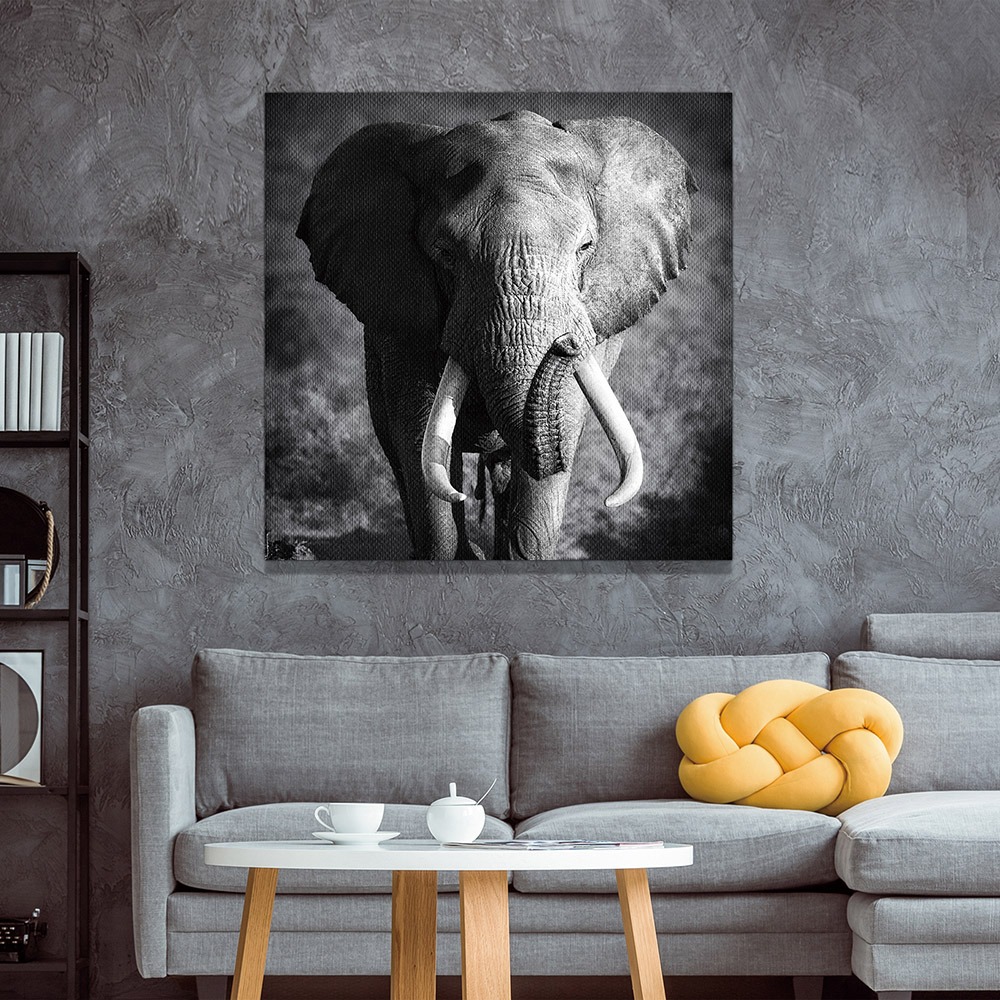 5-iSB-61167-1Panel Frameless Canvas Prints