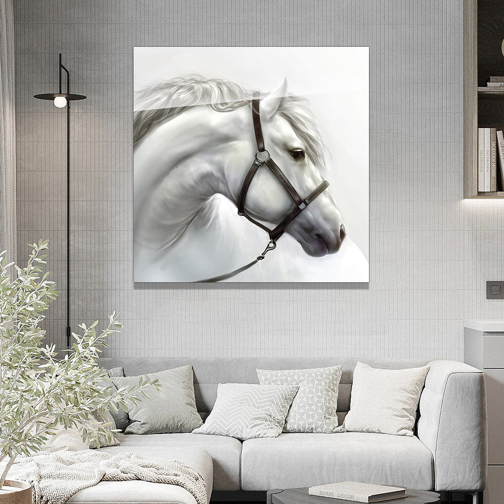 5-iSB-61184-1Panel Frameless Acrylic Prints