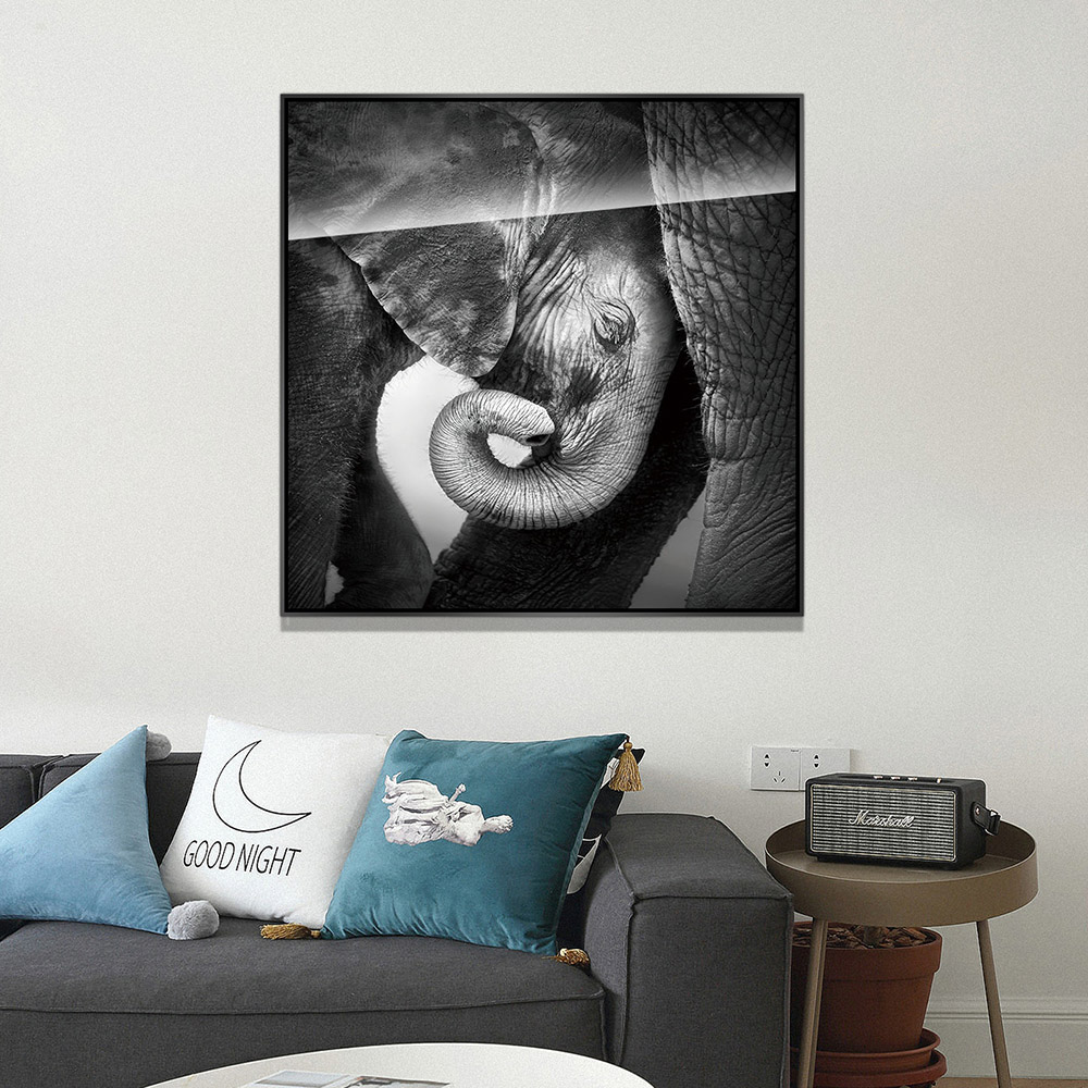 5-iSB-62042-1Panel Black Alumnum Frame Acrylic Prints