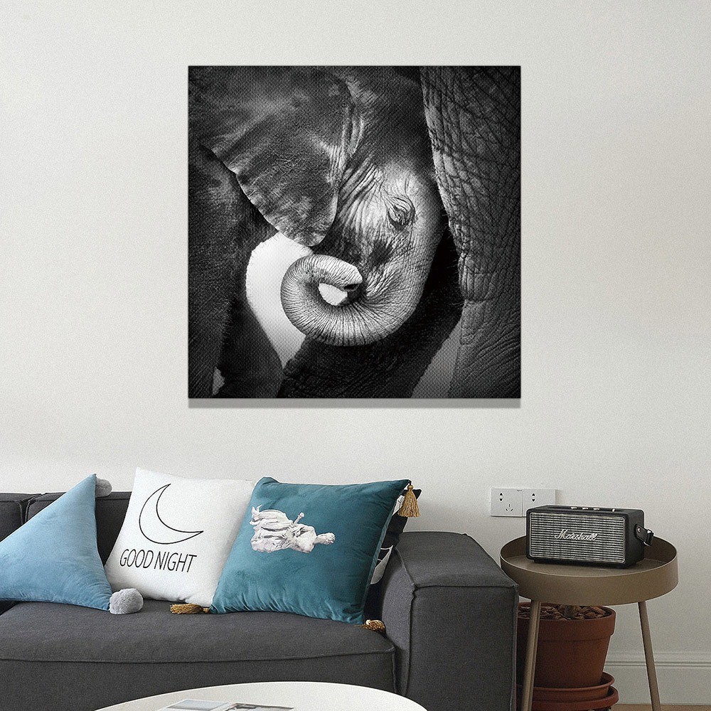 5-iSB-62042-1Panel Frameless Canvas Prints