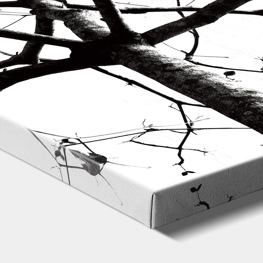 1-iSB-62089ABC-3Panel Frameless Canvas Prints