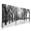 2-iSB-62088ABC-3Panel Frameless Canvas Prints