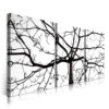 2-iSB-62089ABC-3Panel Frameless Canvas Prints