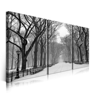 2-iSB-62091ABC-3Panel Frameless Canvas Prints