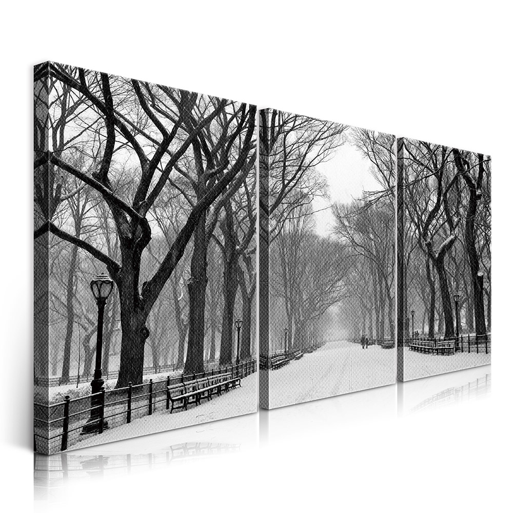2-iSB-62091ABC-3Panel Frameless Canvas Prints
