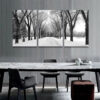 3-iSB-62088ABC-3Panel Frameless Canvas Prints